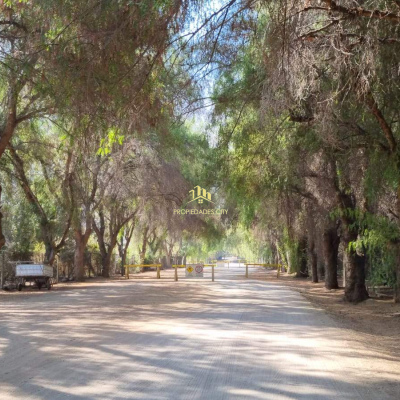 Santa Amalia  / Lampa