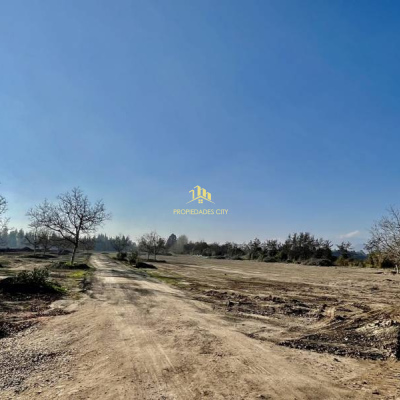 Buin / Alberto Krumm